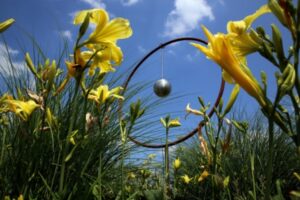 Kunstpfad – 12 – Focus