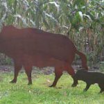 Stahlschnitt Wildschwein-Gruppe