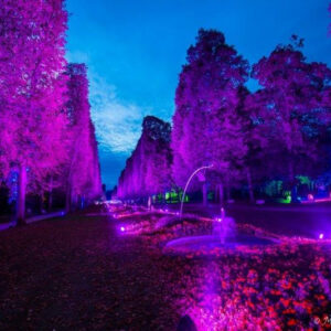 Stahl-Zeit trifft LightArt, Bad Pyrmont, 2016